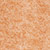 AW24 Lady Felted knit Pants 1032220 - Brown